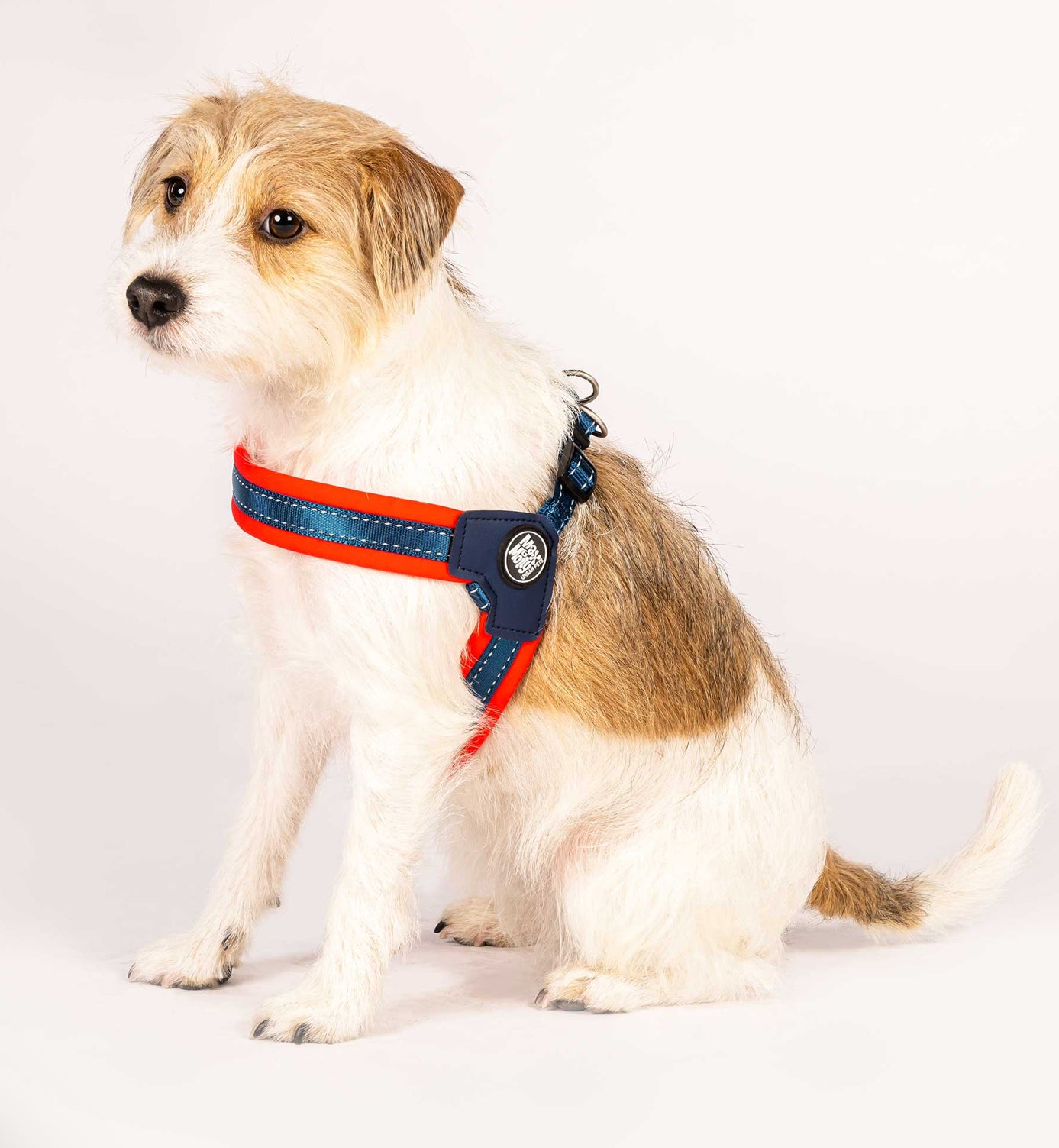 Q Fit Harness
