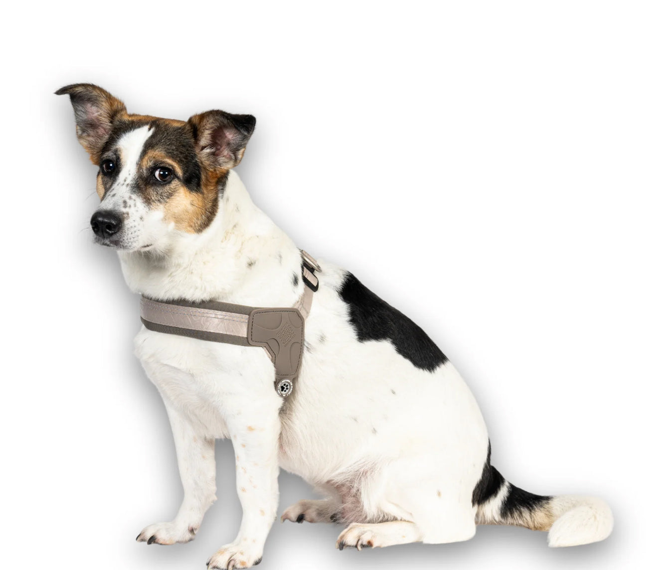 Q Fit Harness