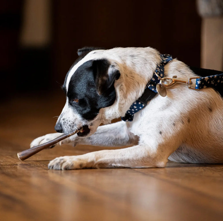 Long Lasting Natural Chews