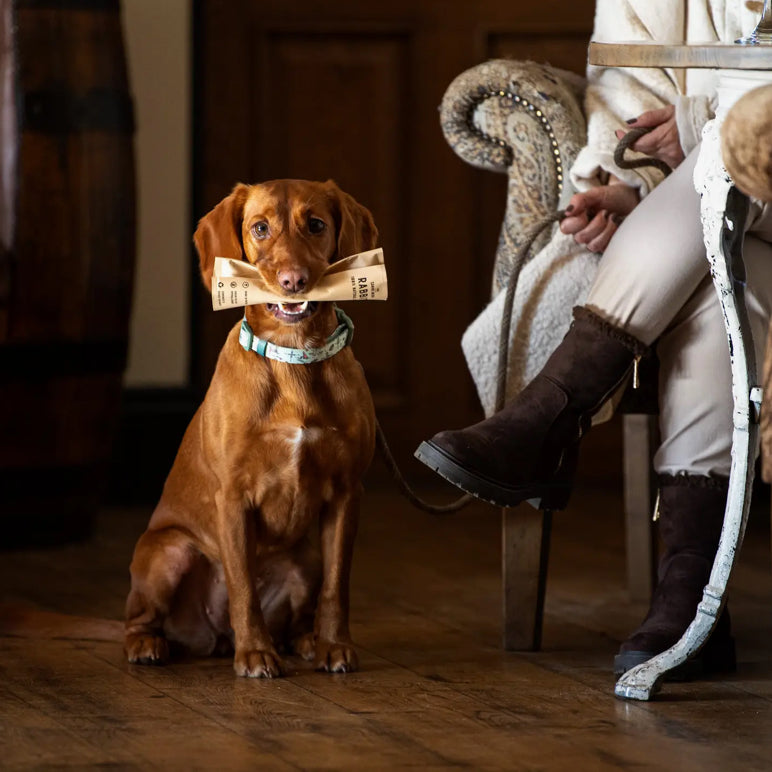 Long Lasting Natural Chews