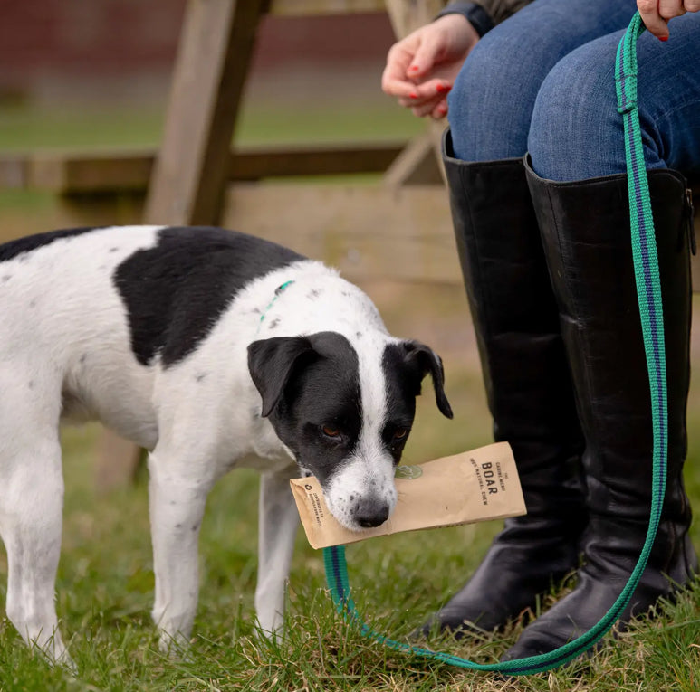 Long Lasting Natural Chews