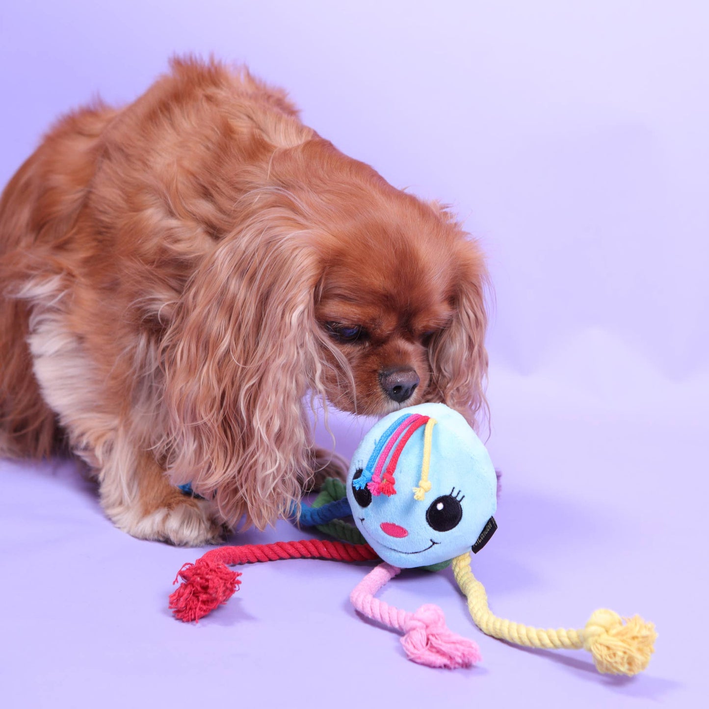 Rainbow Octopus Dog Toy