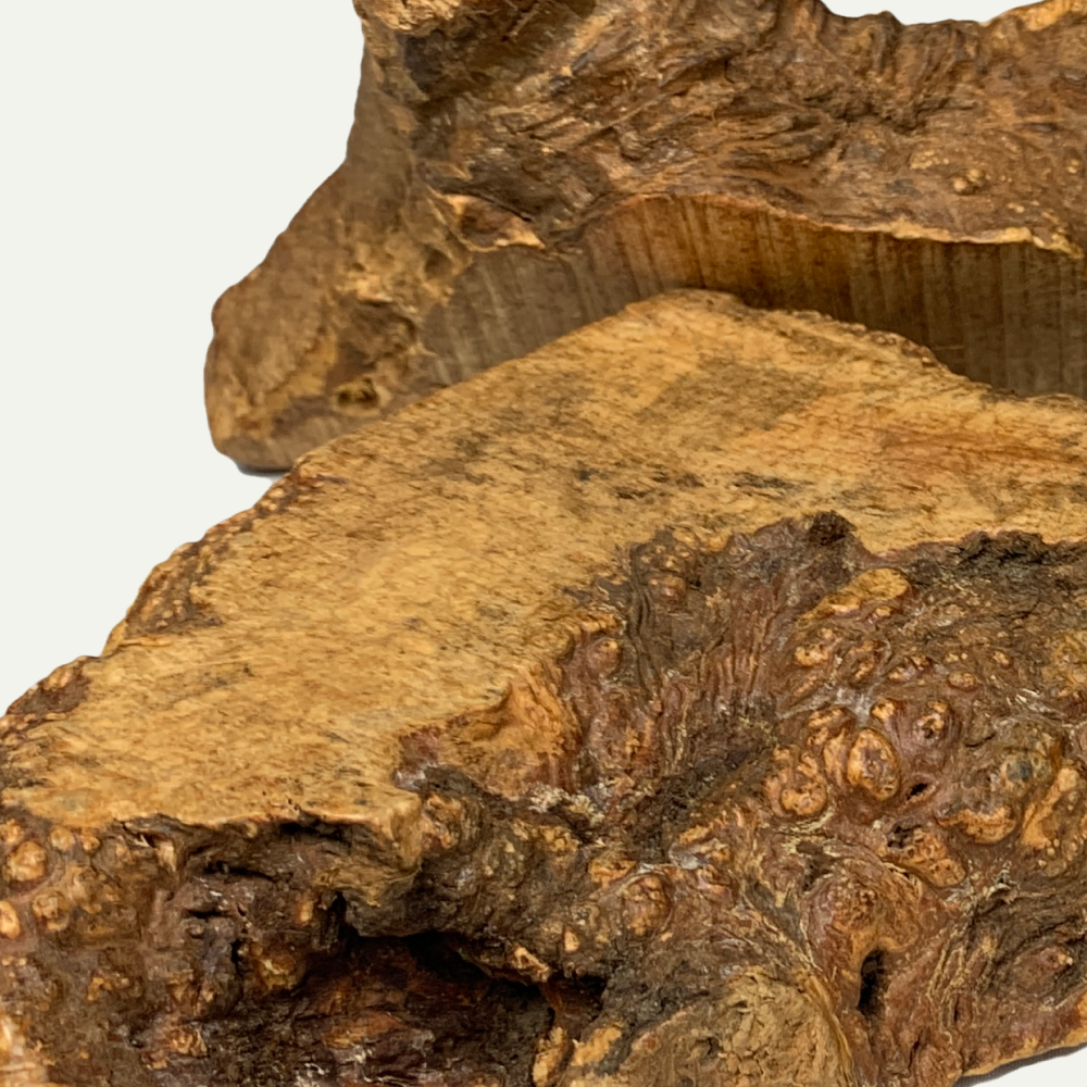 Chewroot