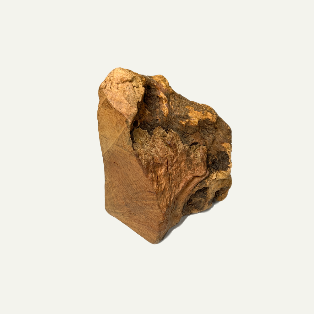 Chewroot