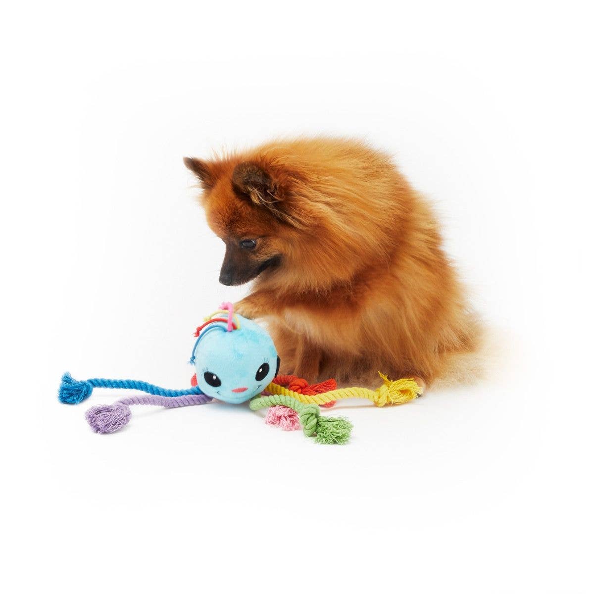 Rainbow Octopus Dog Toy