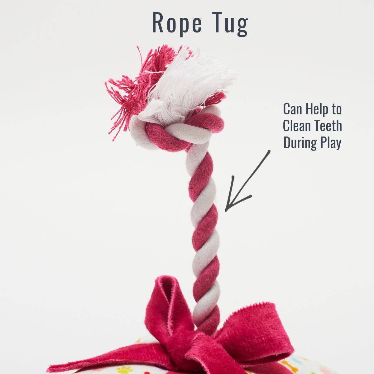 Present Tug Dog Celebration Toy