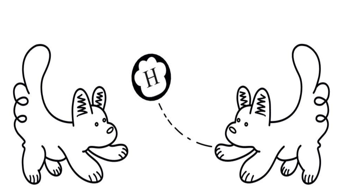 Round up of 2025 and a look forward to 2026