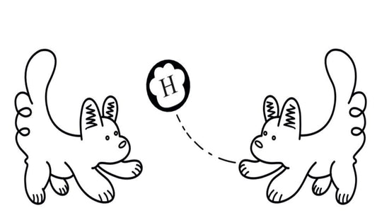 Round up of 2025 and a look forward to 2026