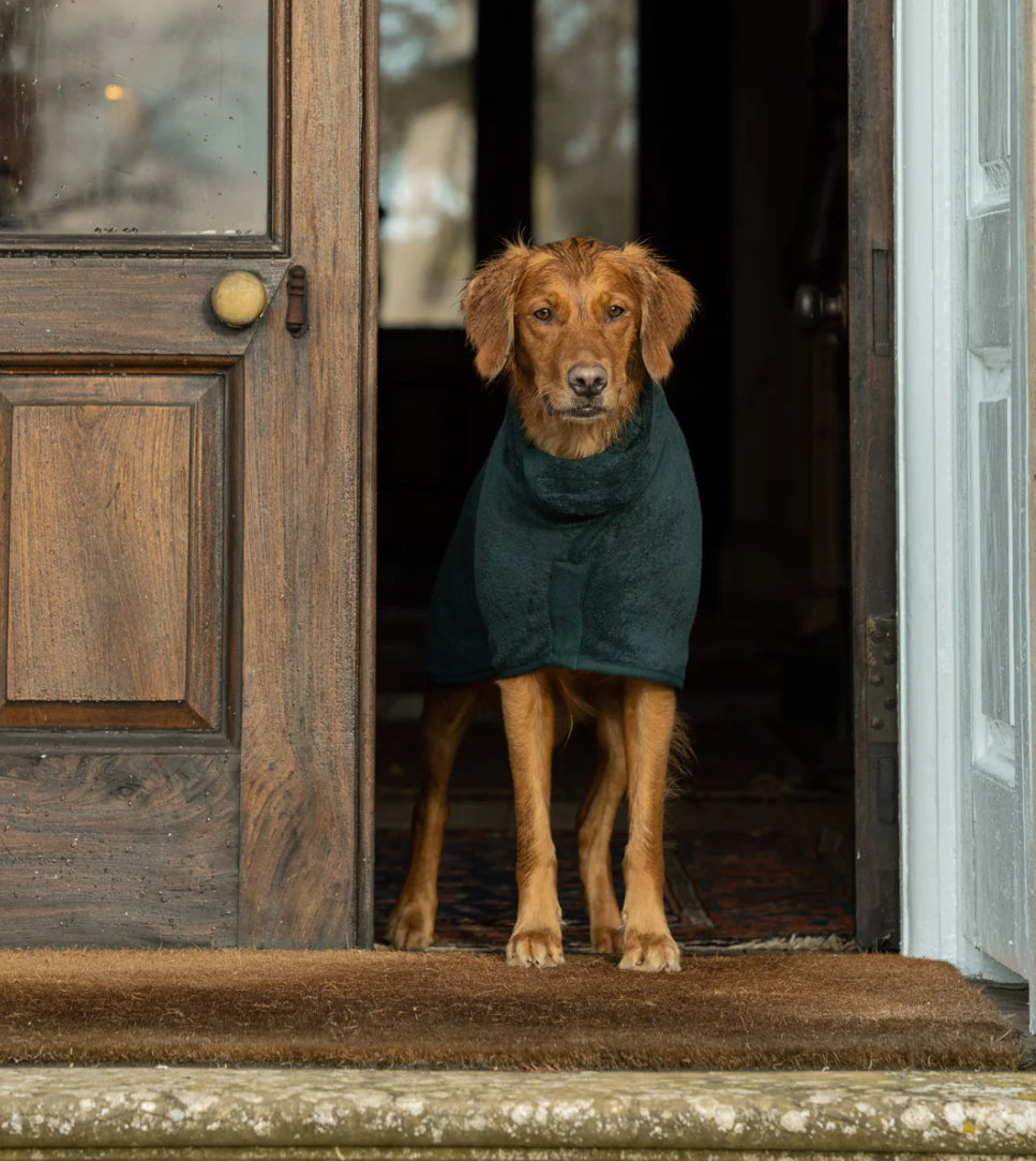 Dog Coats
