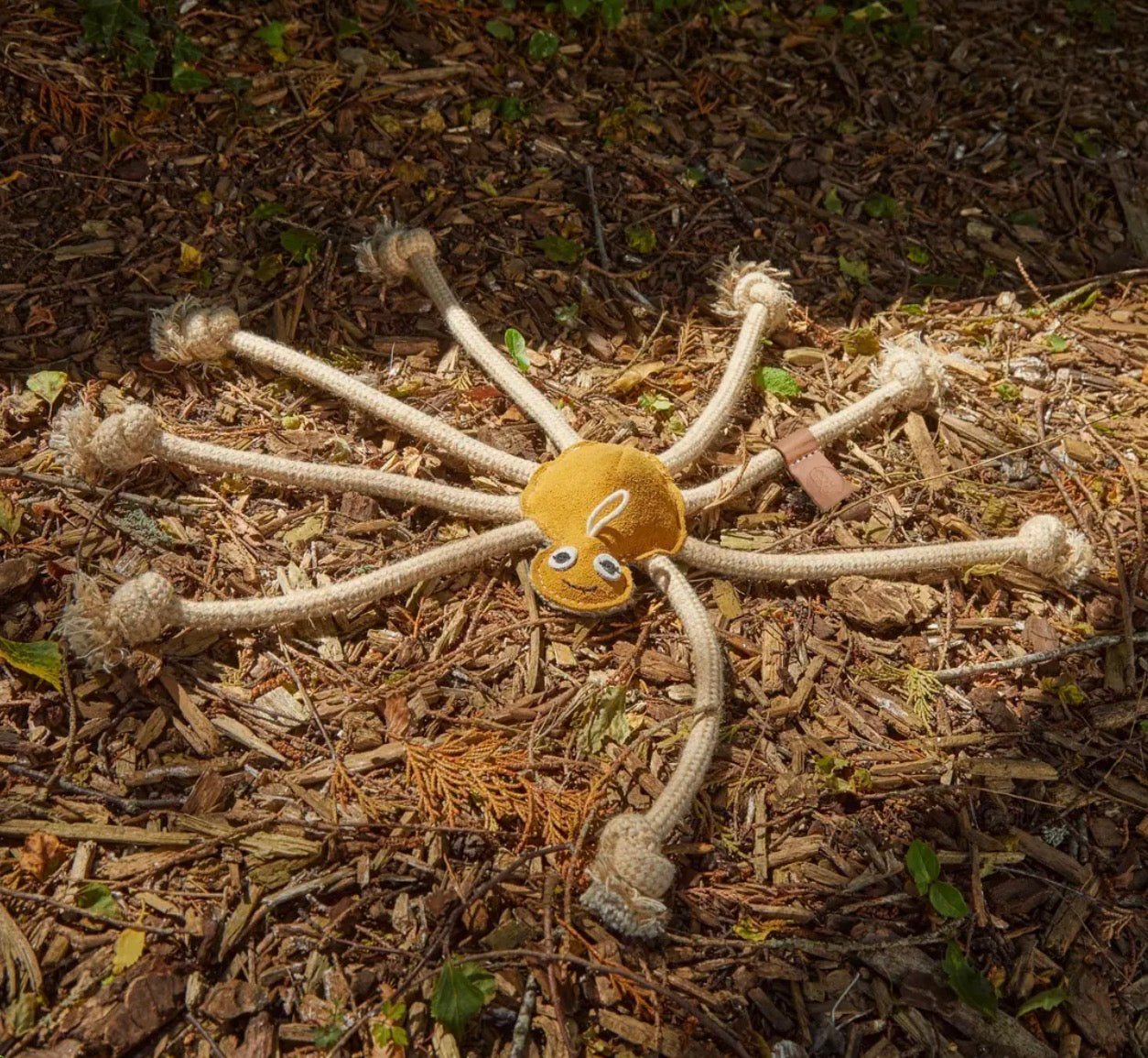 Eco Toys