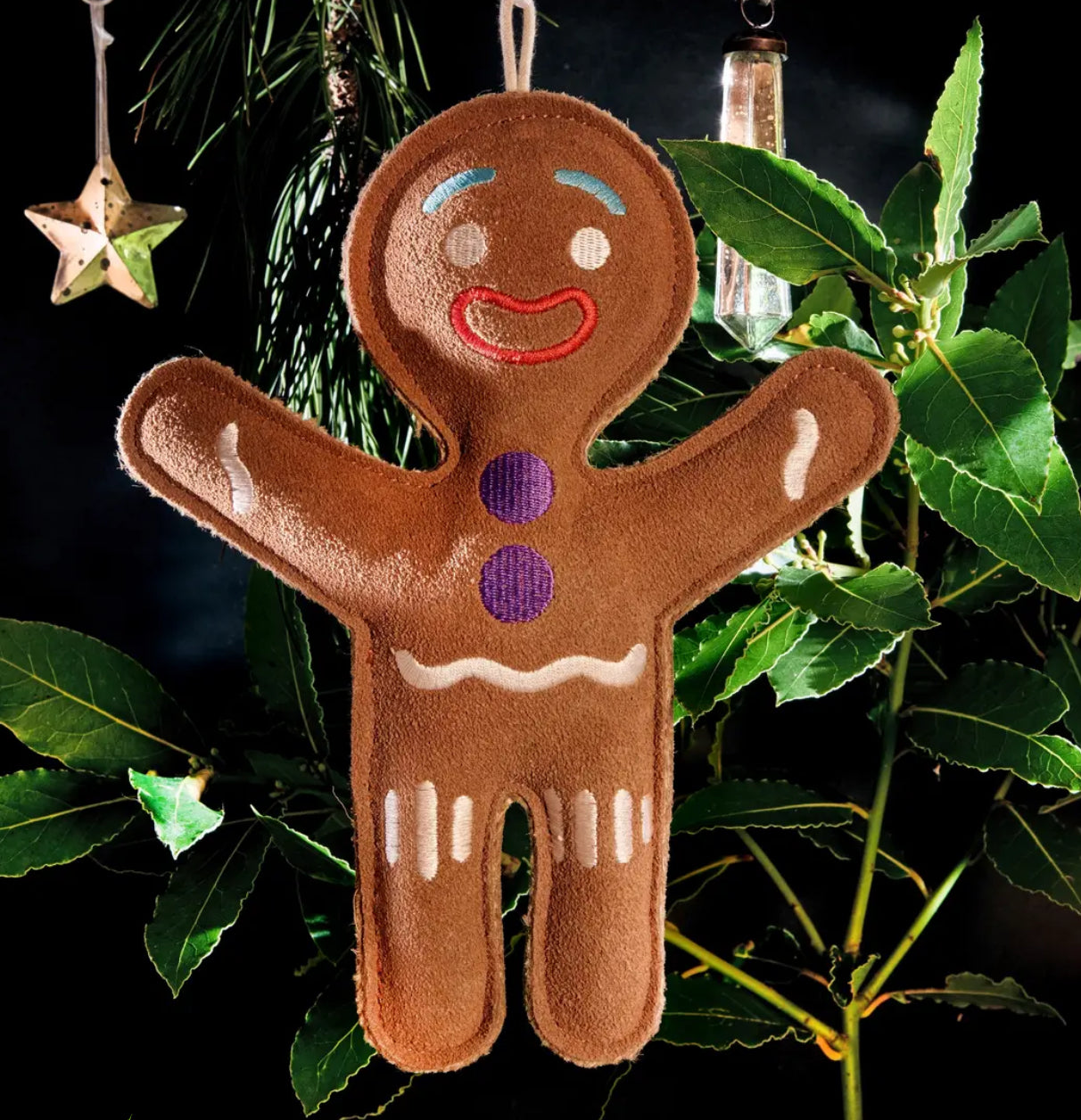Genie the Gingerbread