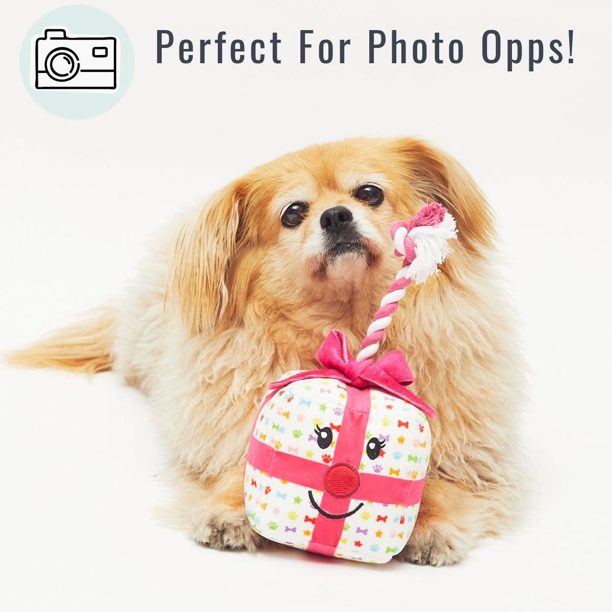 Present Tug Dog Celebration Toy