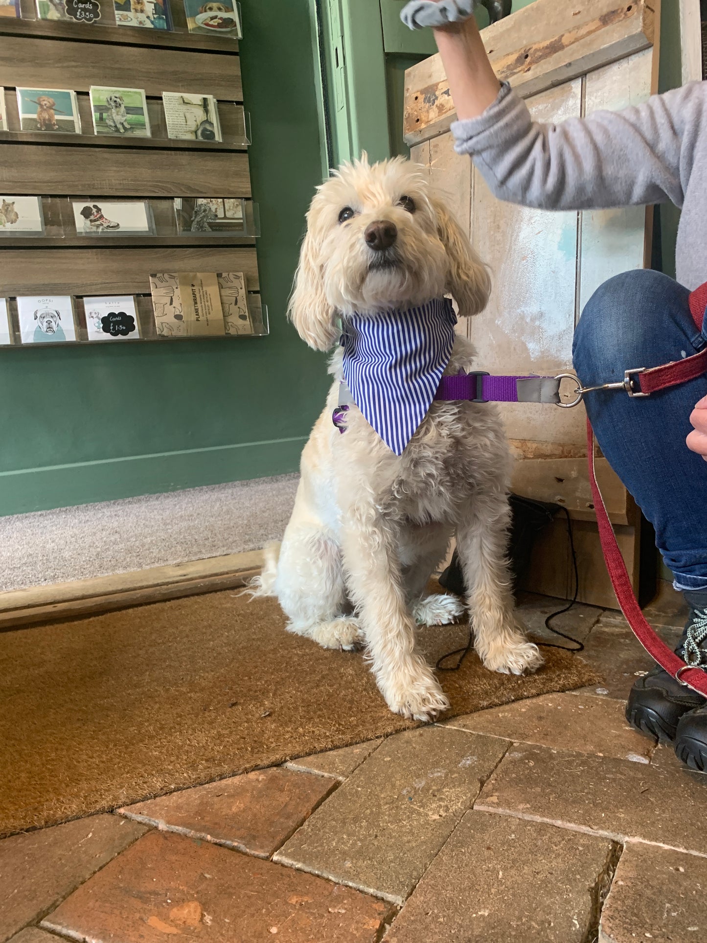 Maisie Ruffle Bandana