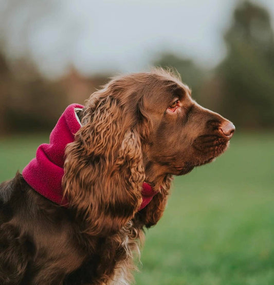Fleece Dog Snood