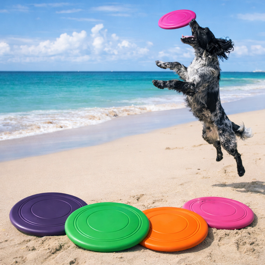 Silicone Frisbee