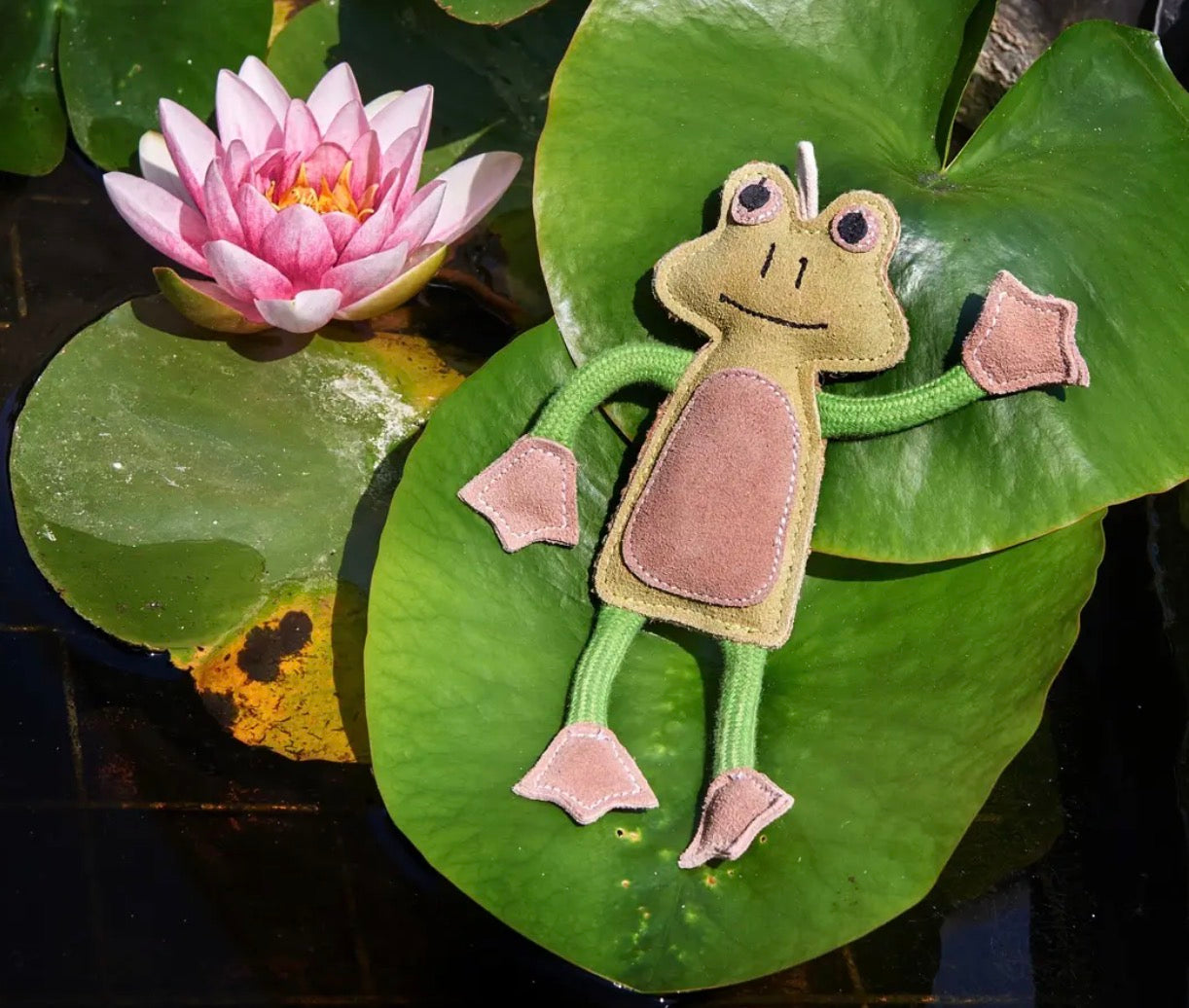 Eco Toys
