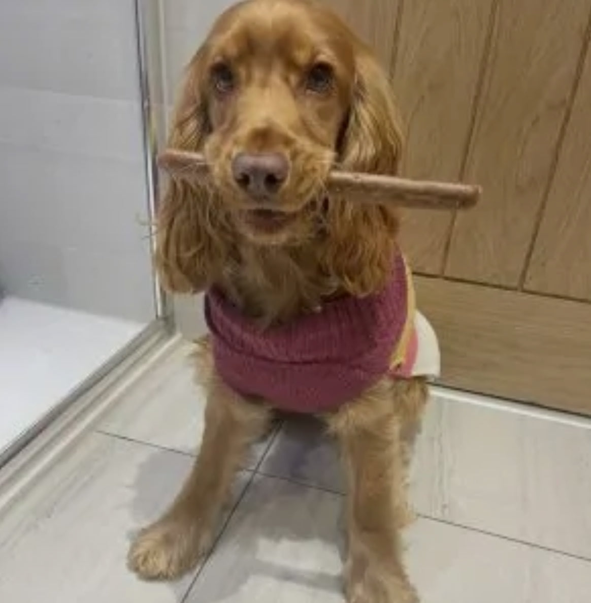 Sticks, Twists, Sausages, Burgers & Bars