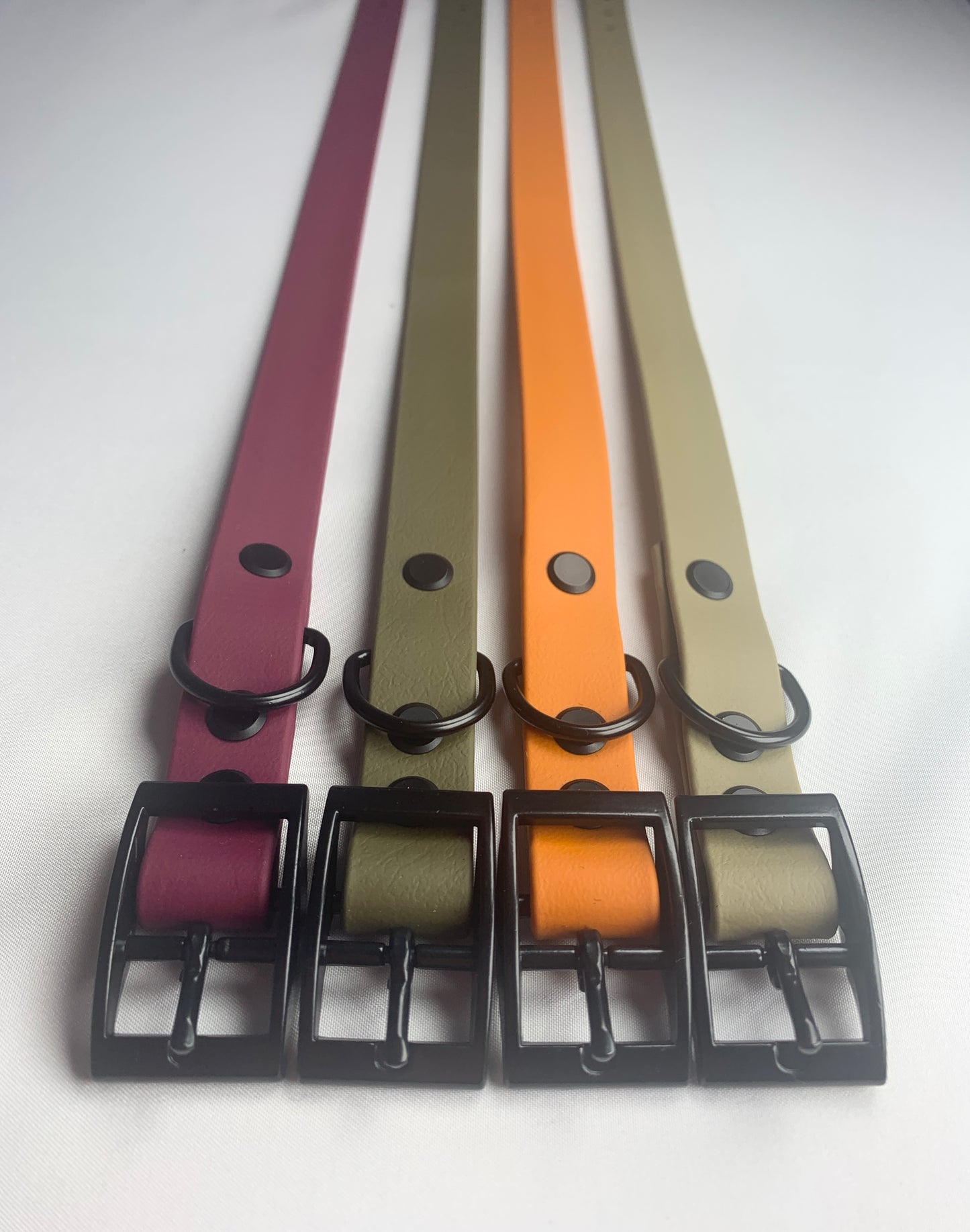 Chester Biothane Collar
