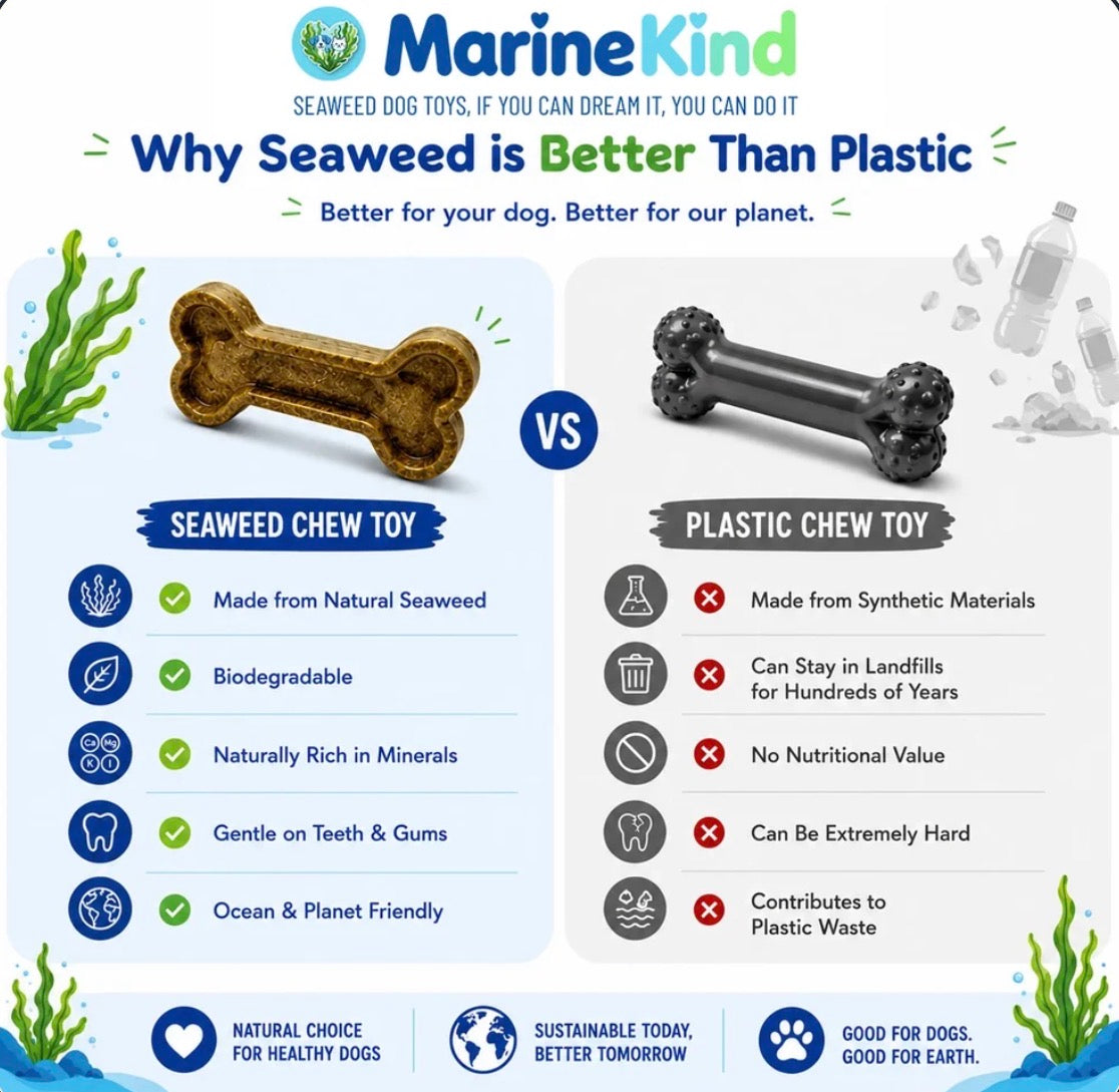 Seaweed (Kelpi) Bone Toy