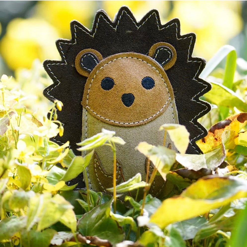 Eco Toys