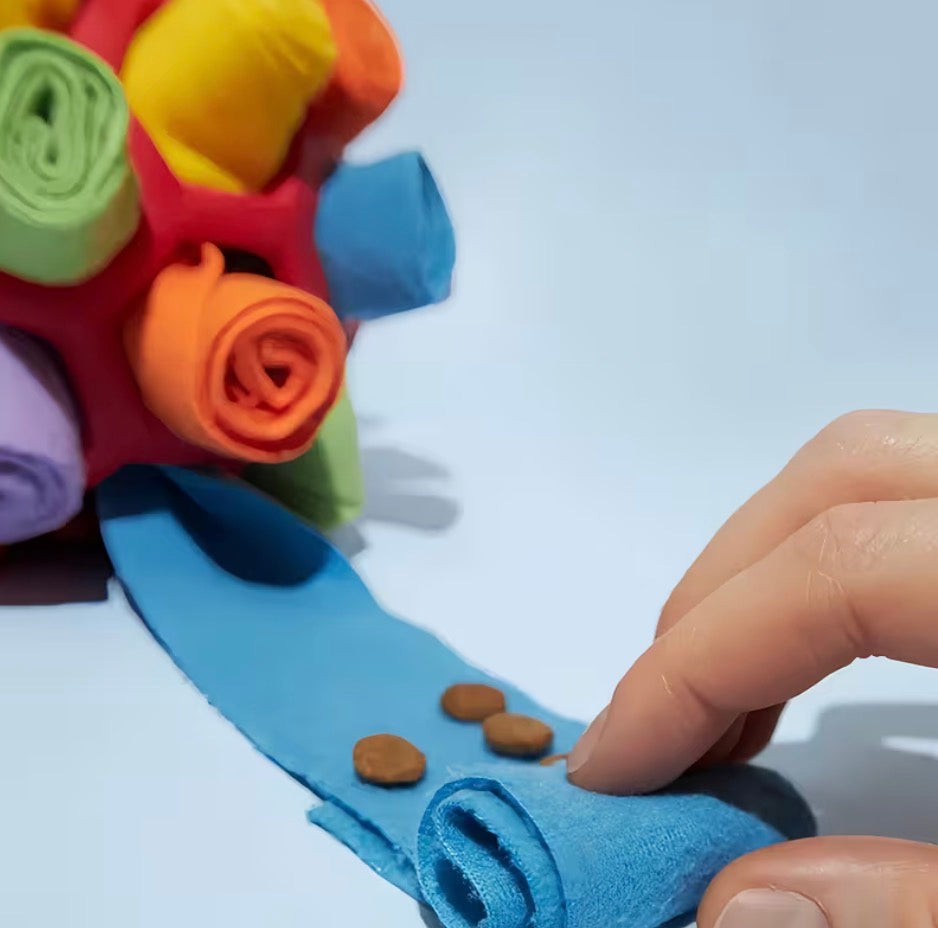 Interactive Toys