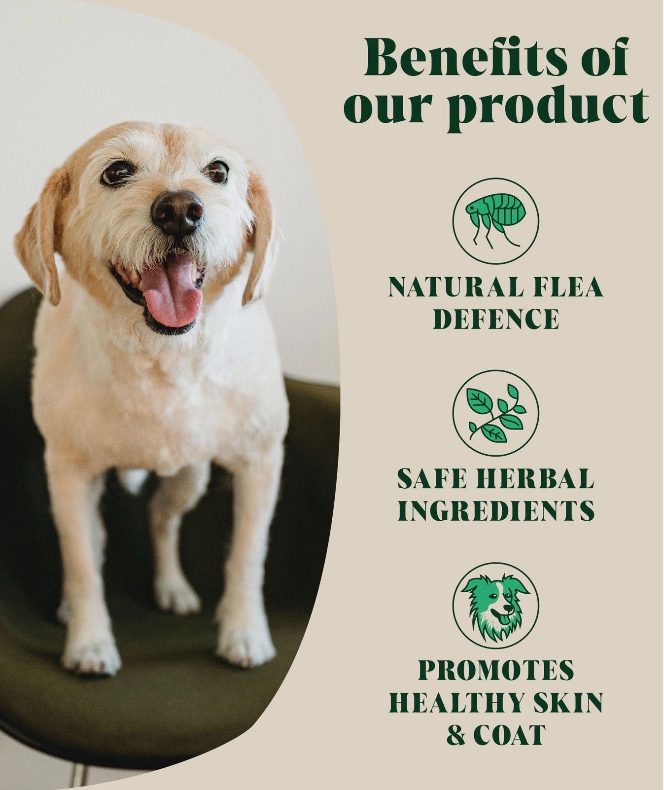 Natural Flea & Tick Topper