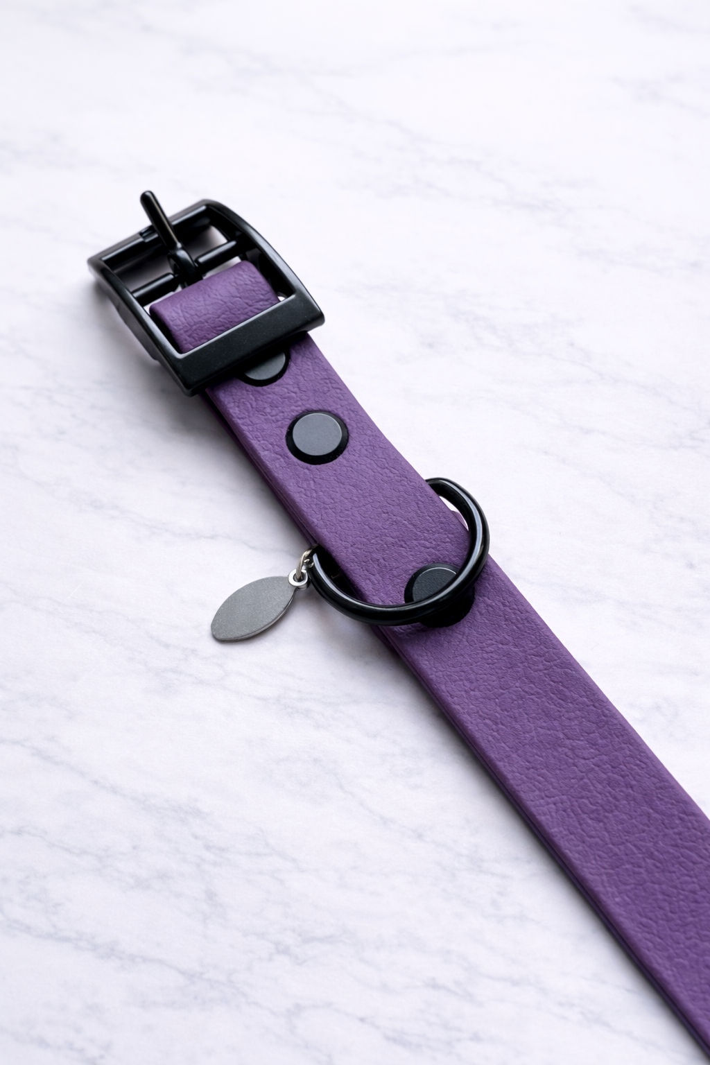 Chester Biothane Collar