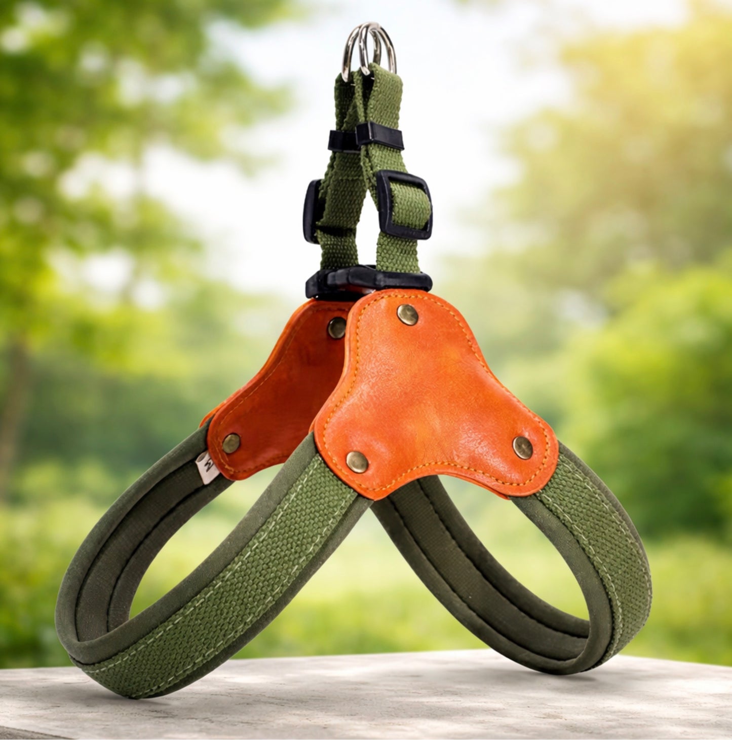 Harness