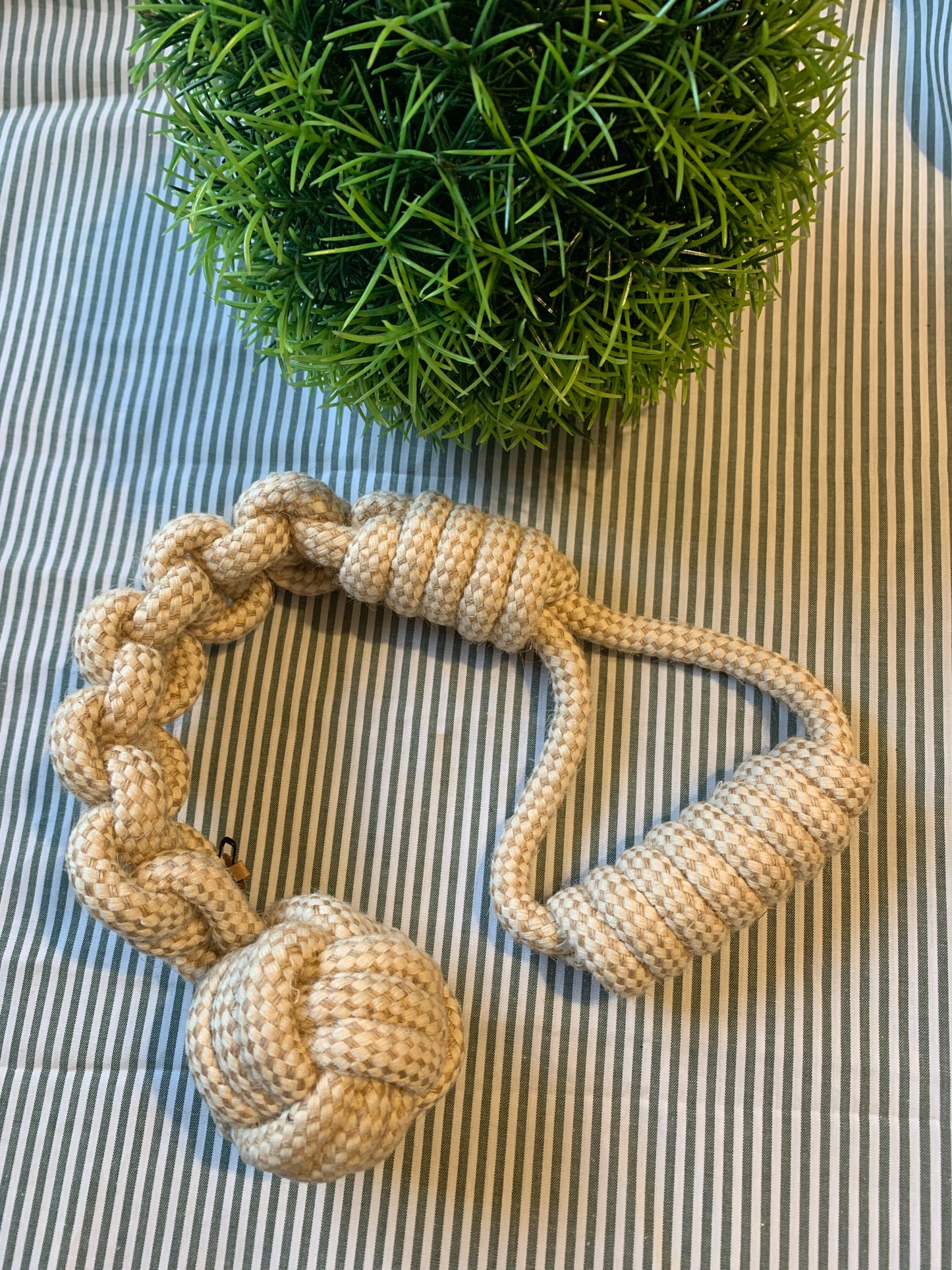 Rope Toys