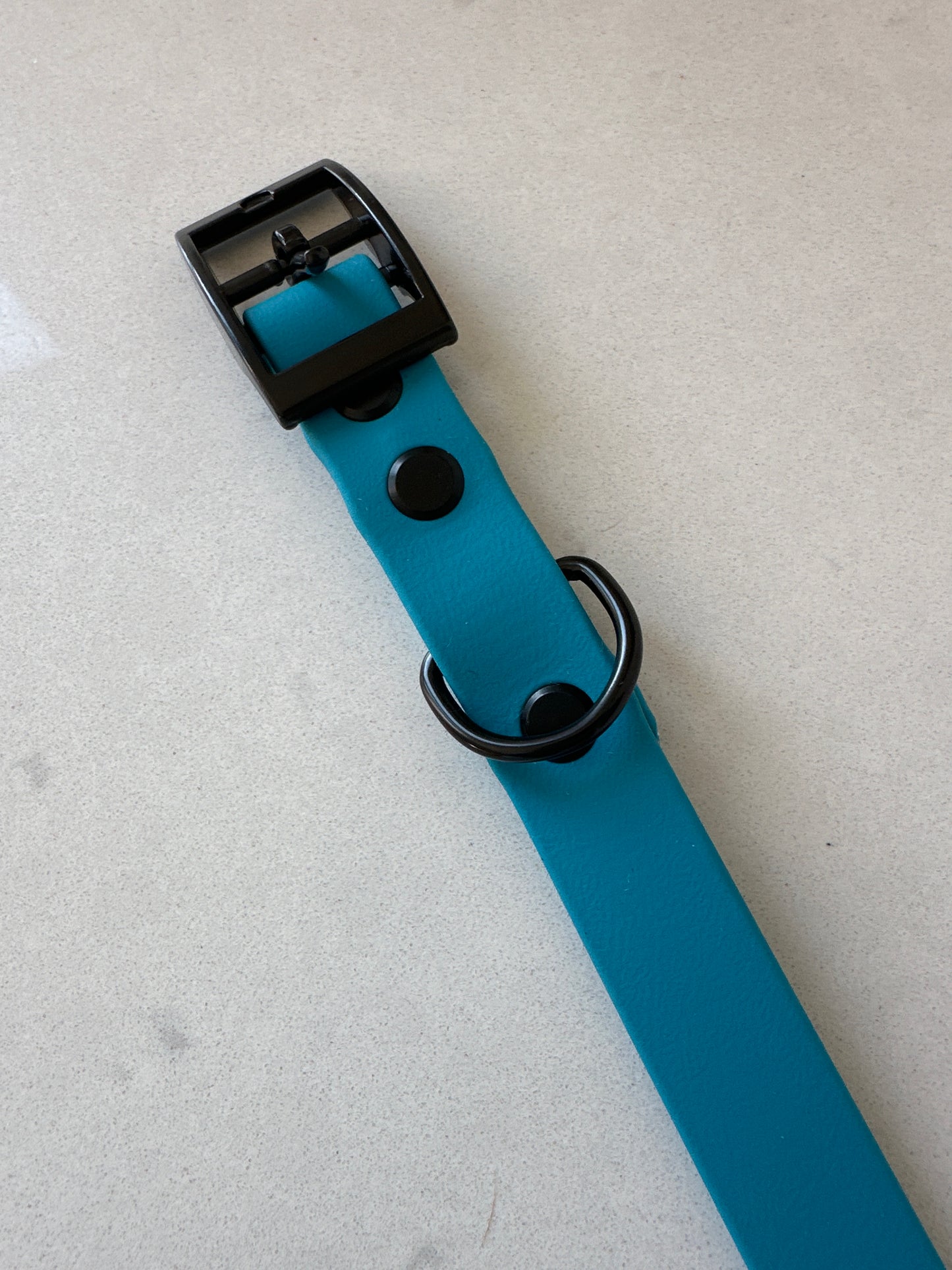 Chester Biothane Collar