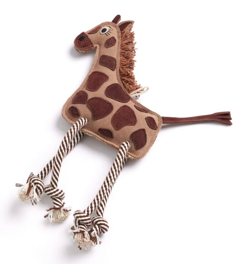 Eco Toys