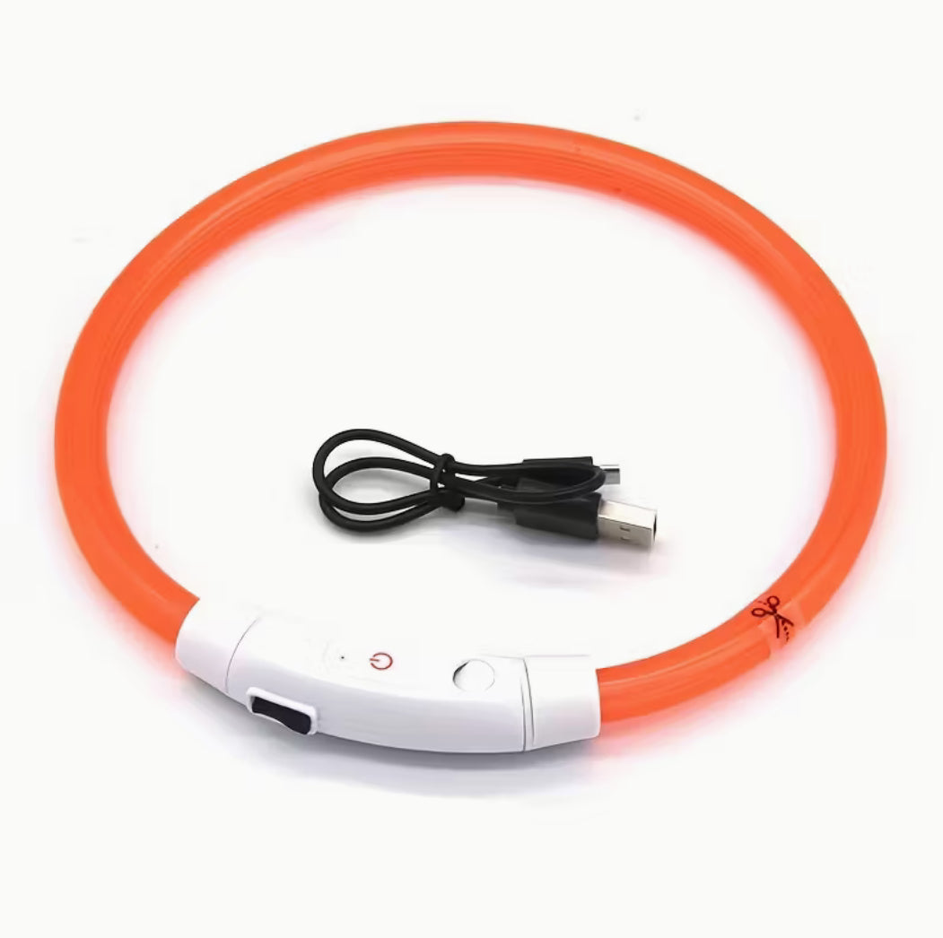 Rechargeable Light-Up Collar (Adjustable Fit)