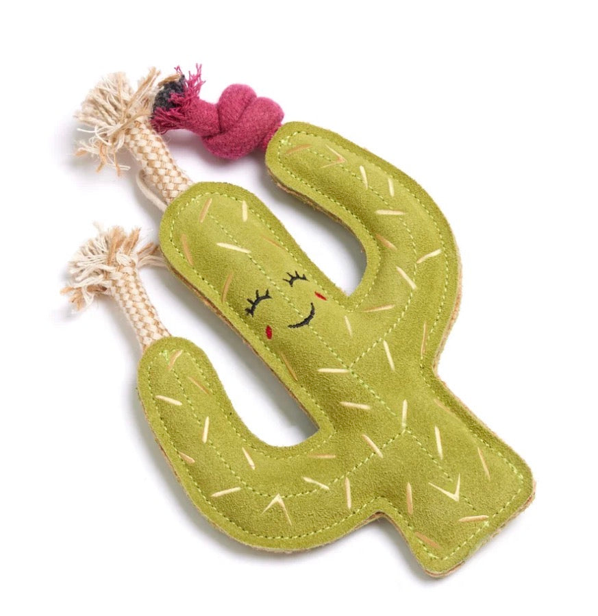 Eco Toys