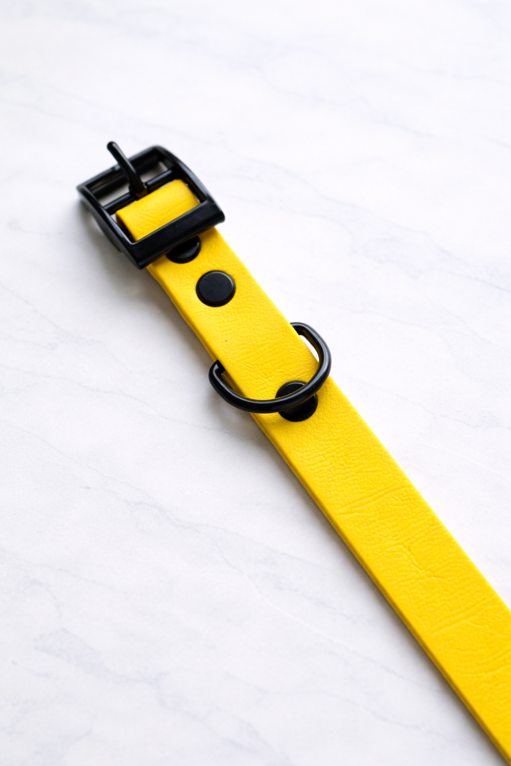 Chester Biothane Collar