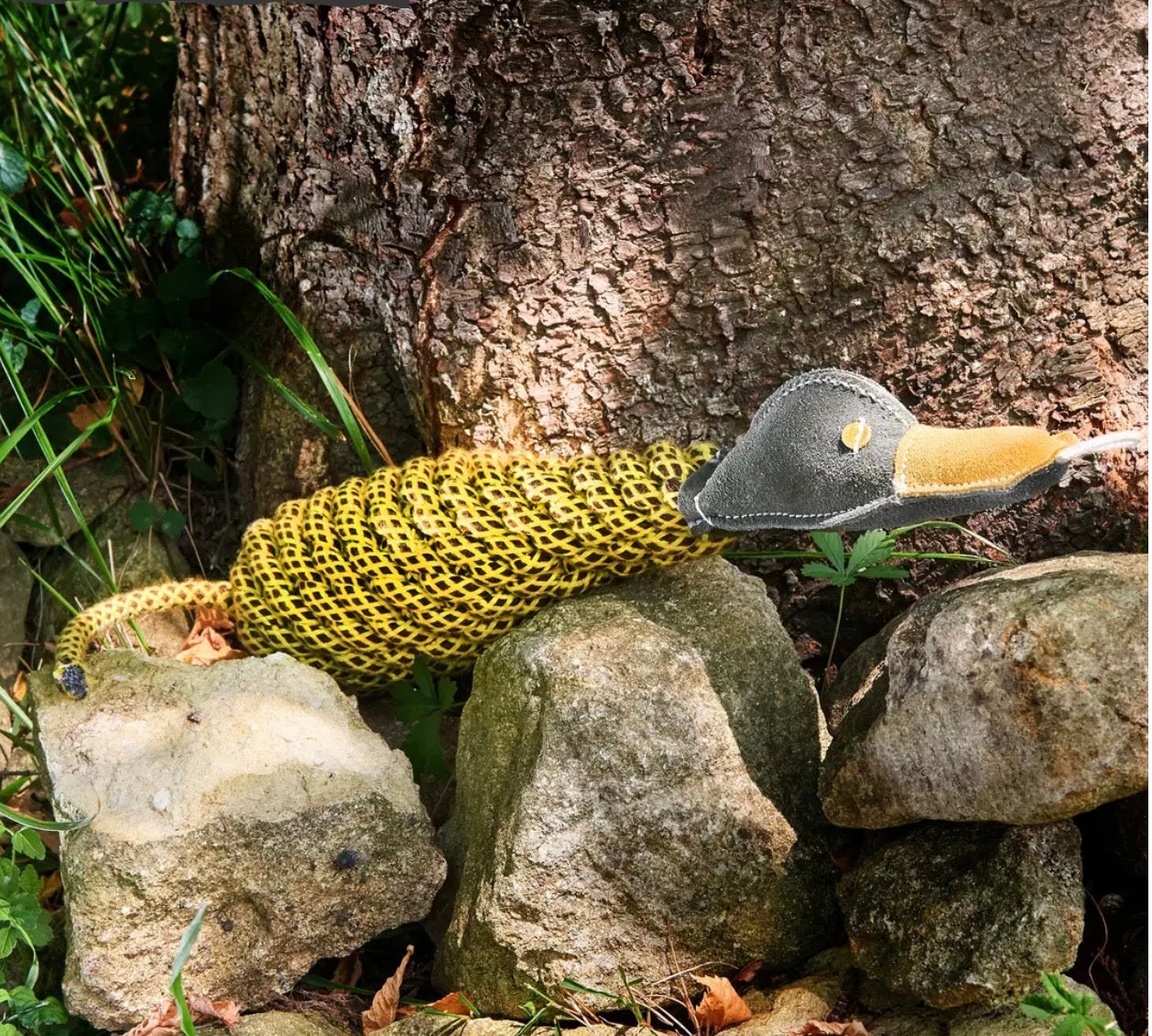 Eco Toys