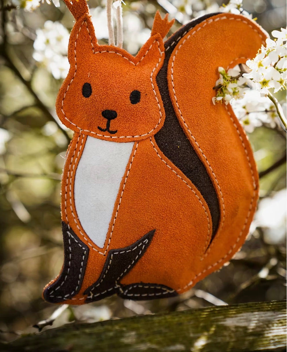 Eco Toys