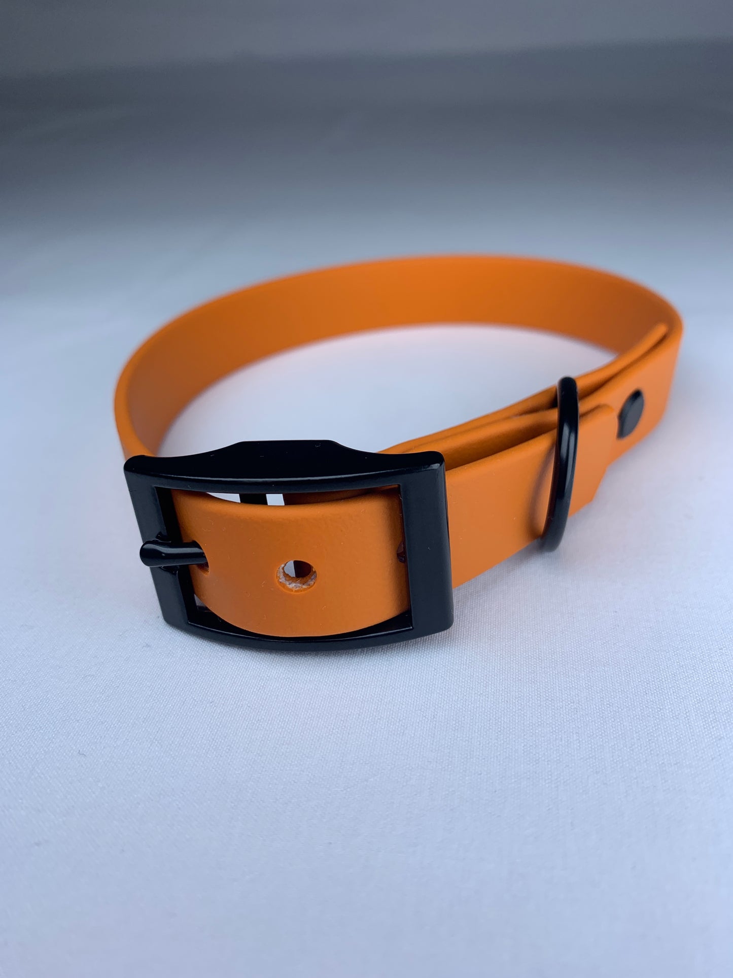 Chester Biothane Collar