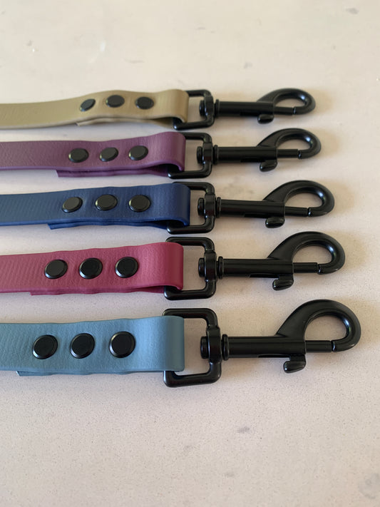 Chester Biothane Lead