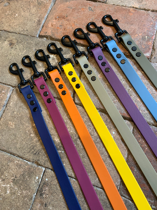 Chester Biothane Lead