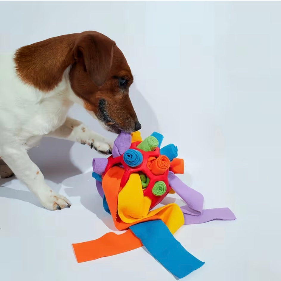 Interactive Toys
