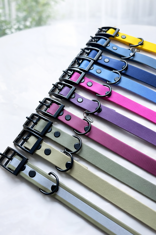 Chester Biothane Collar