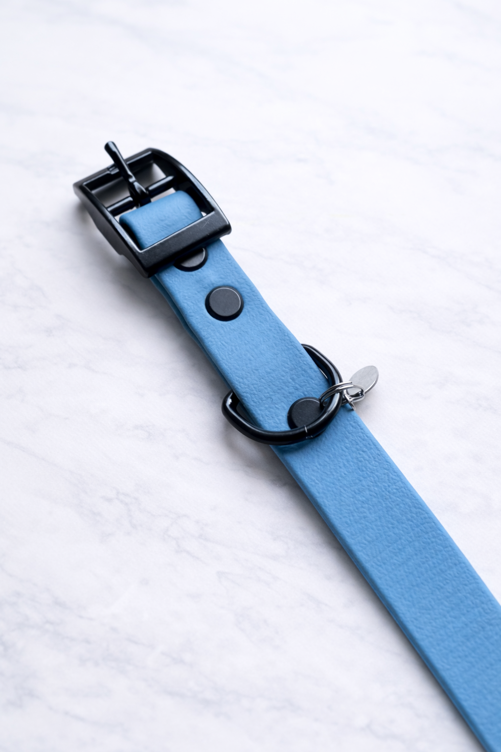 Chester Biothane Collar