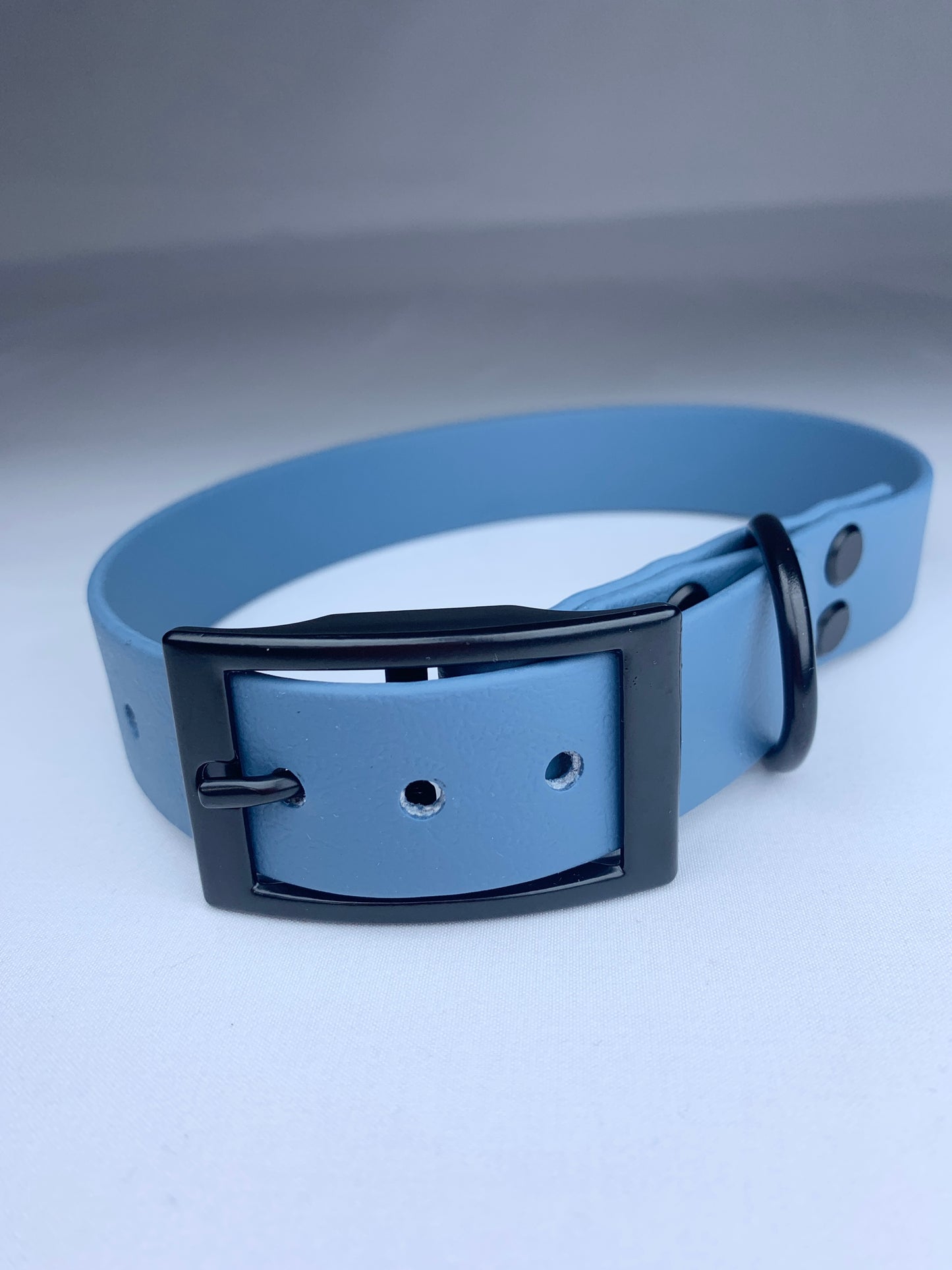 Chester Biothane Collar