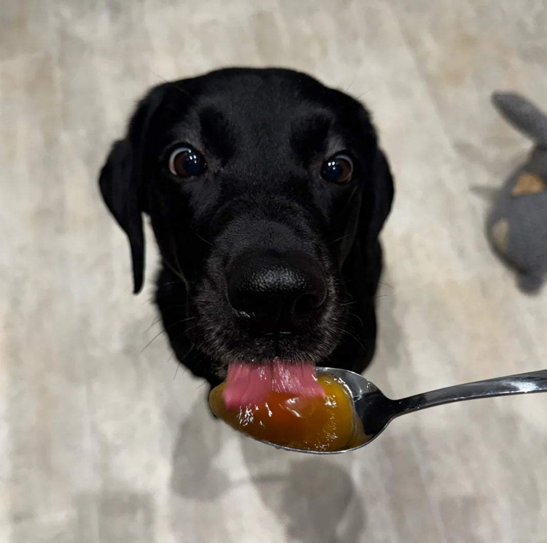 Bone Broth - Dehydrated