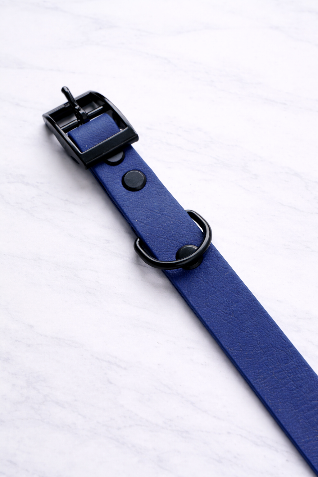 Chester Biothane Collar