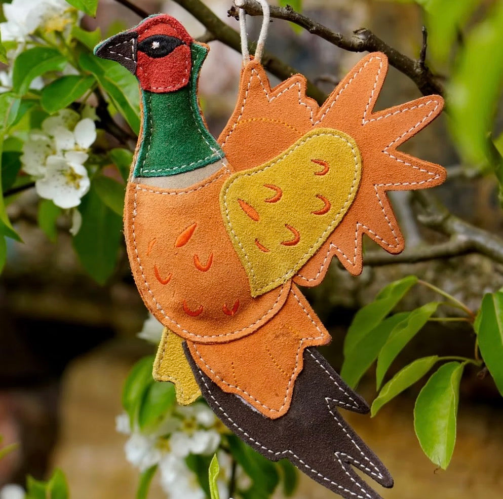 Eco Toys