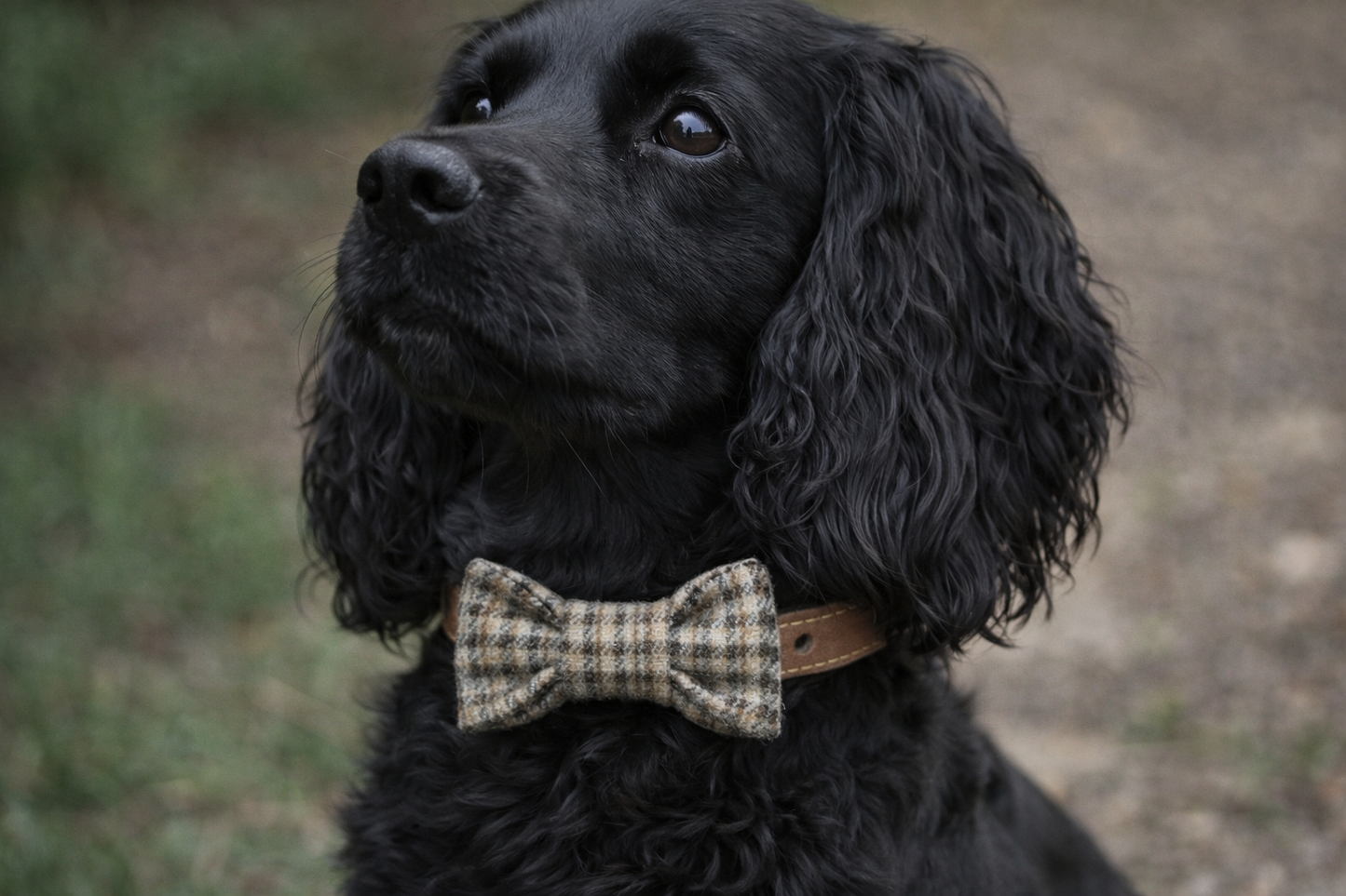Tweed Bow tie
