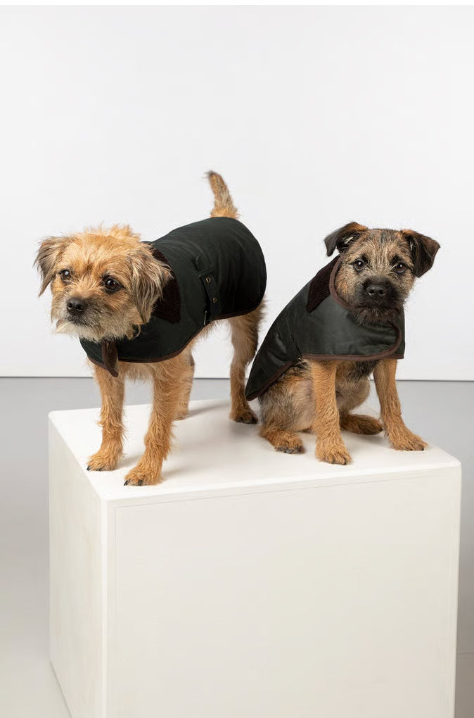 Louis Waxed Dog Coat