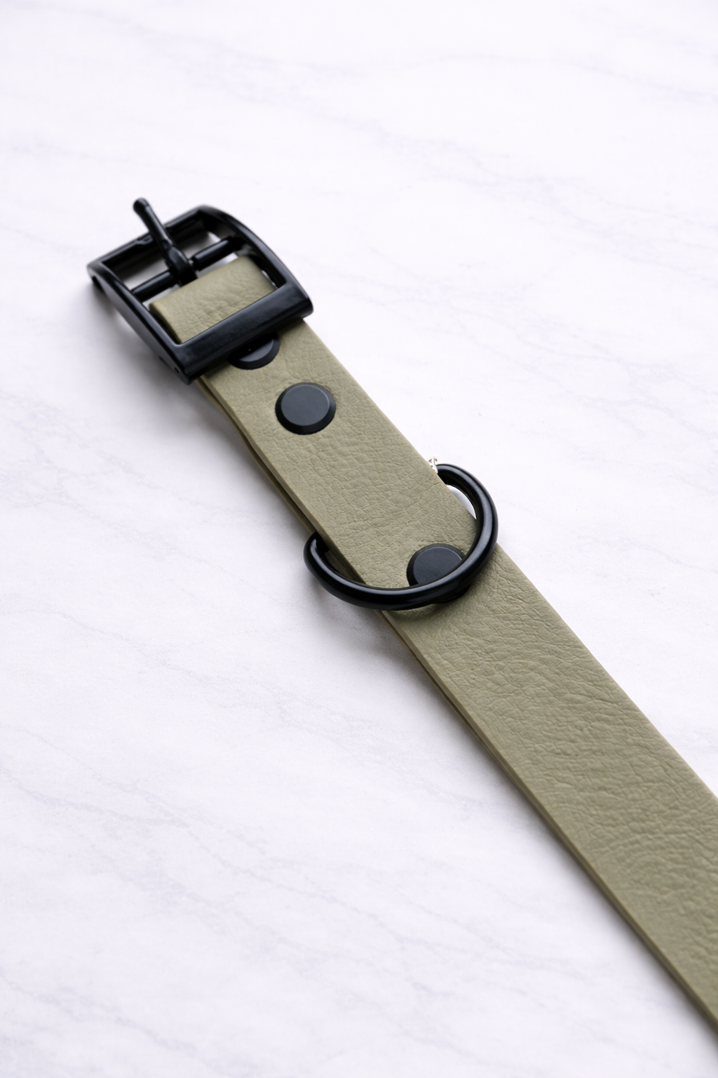 Chester Biothane Collar