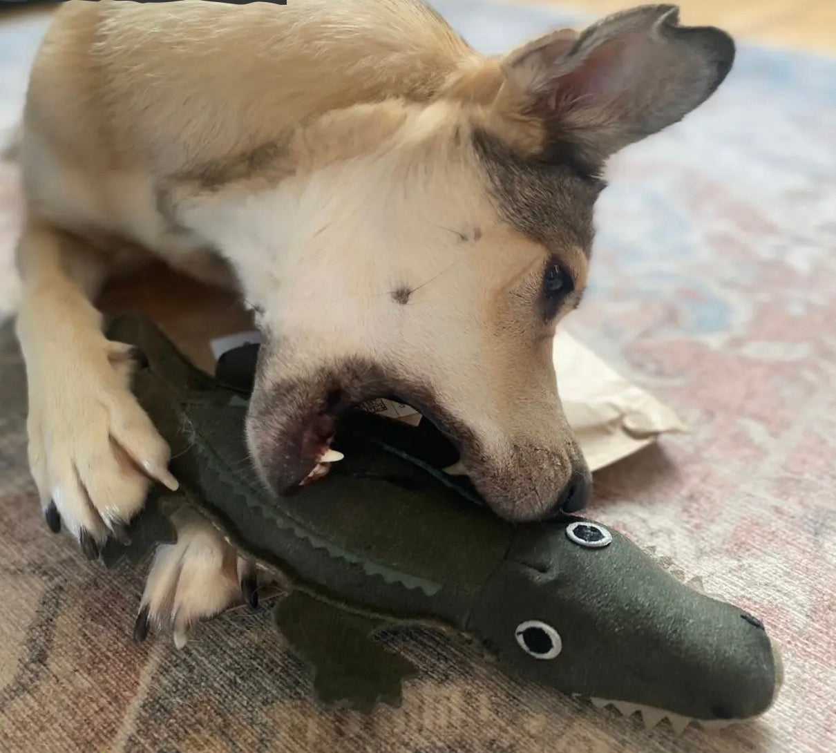 Eco Toys